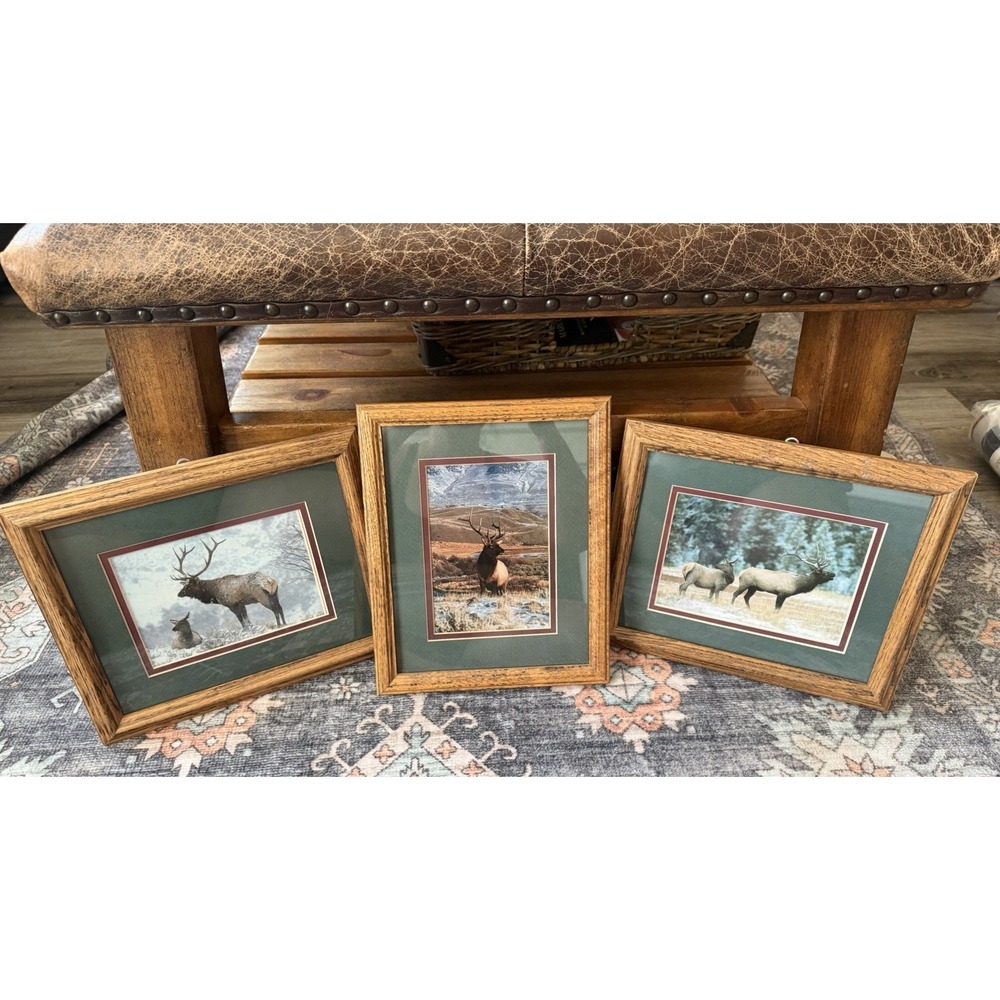 Vintage Elk Wildlife Hunting Lodge Cabin Northern Art Oak Frame Matted Lot of 3